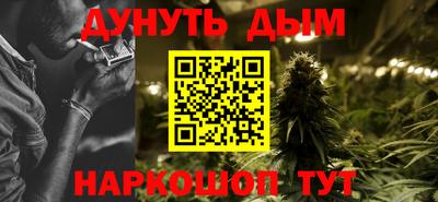 сатива Сланцы