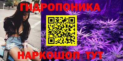 сатива Сланцы