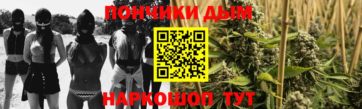 Шишки марихуана конопля Новозыбков